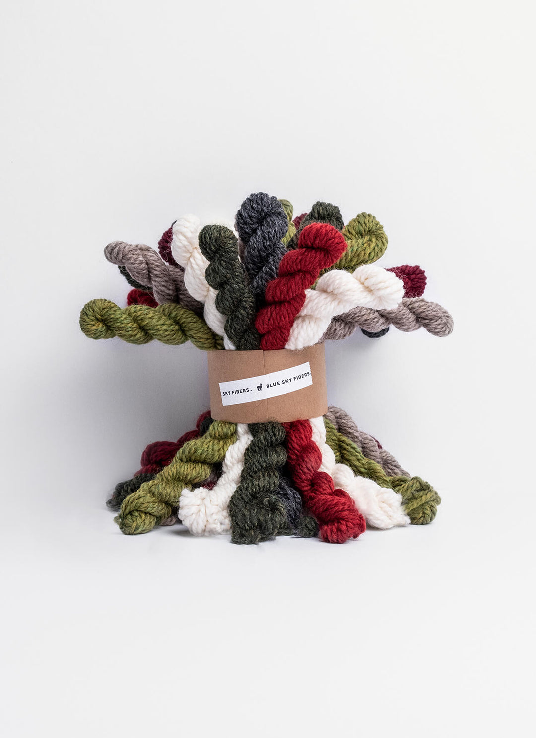 Blue Sky Fibers Woolstok Bundle Holiday Cheer