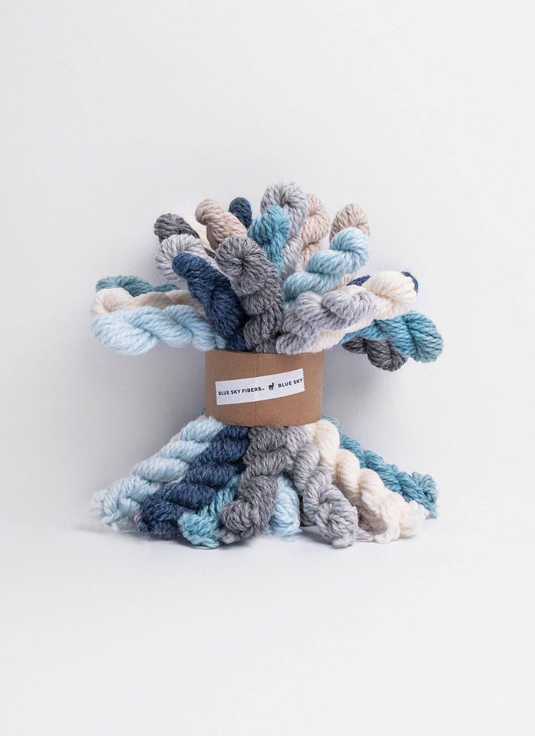 Blue Sky Fibers Woolstok Bundle Holiday Frost