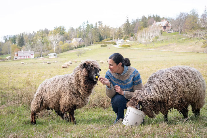 Farm &amp; Fiber Knits Magazine - Fall 2026