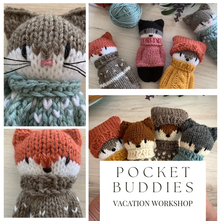 February Vacation Learn To Knit a Pocket Buddy