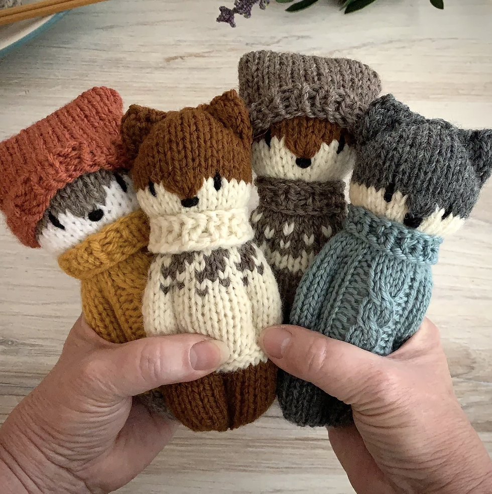 February Vacation Learn To Knit a Pocket Buddy